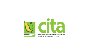 CITA