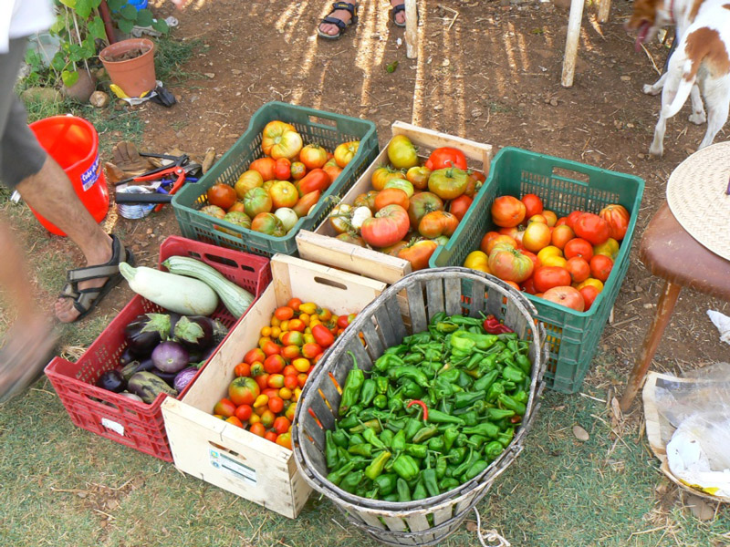 cajas fruta